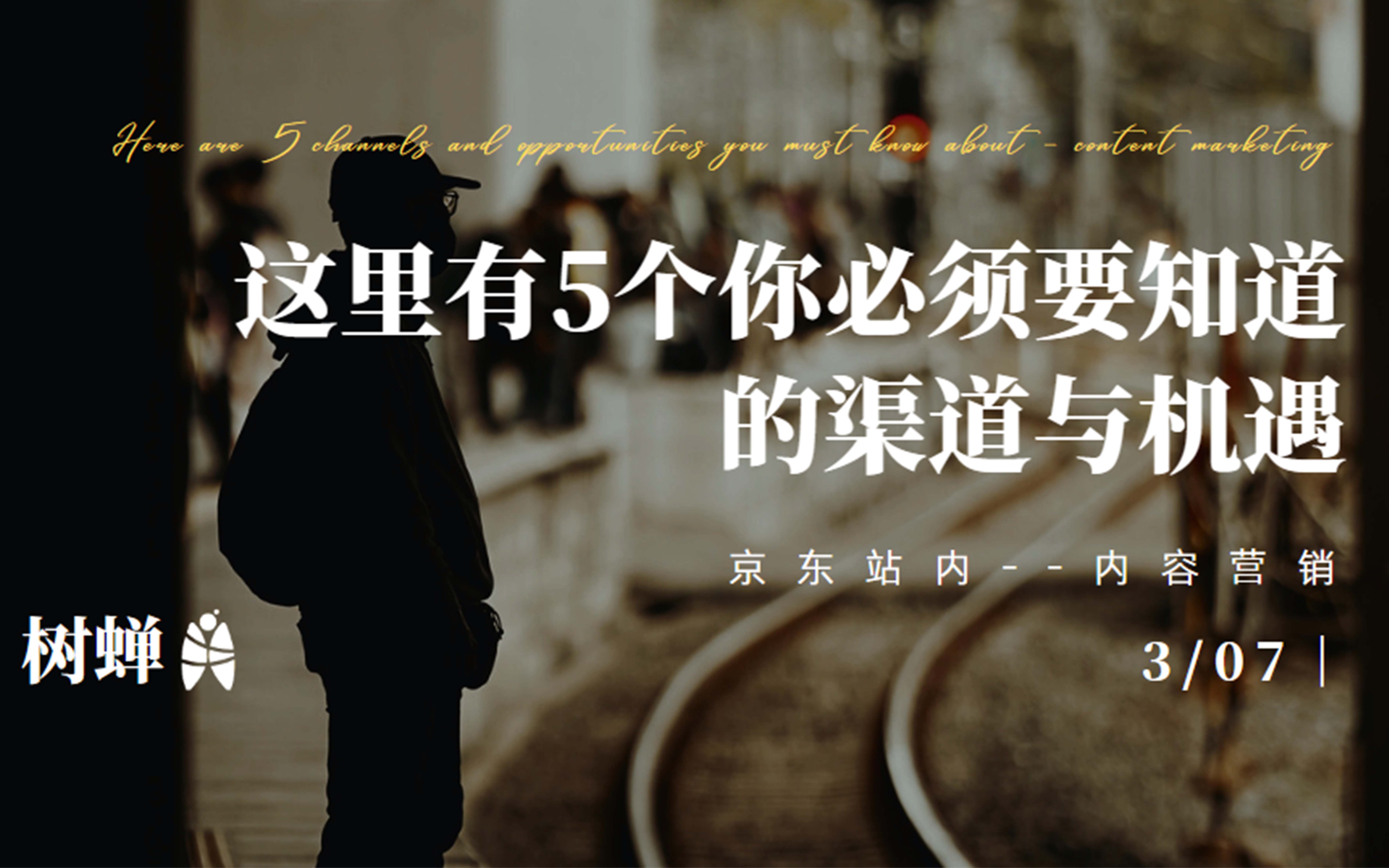 樹蟬傳媒 | 做好京東內容營銷，這里有你必須要知道的渠道與機遇