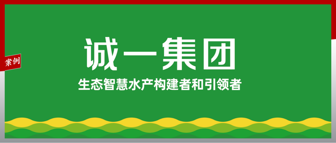 农业企业如何建品牌？诚一集团：战略是长出来的