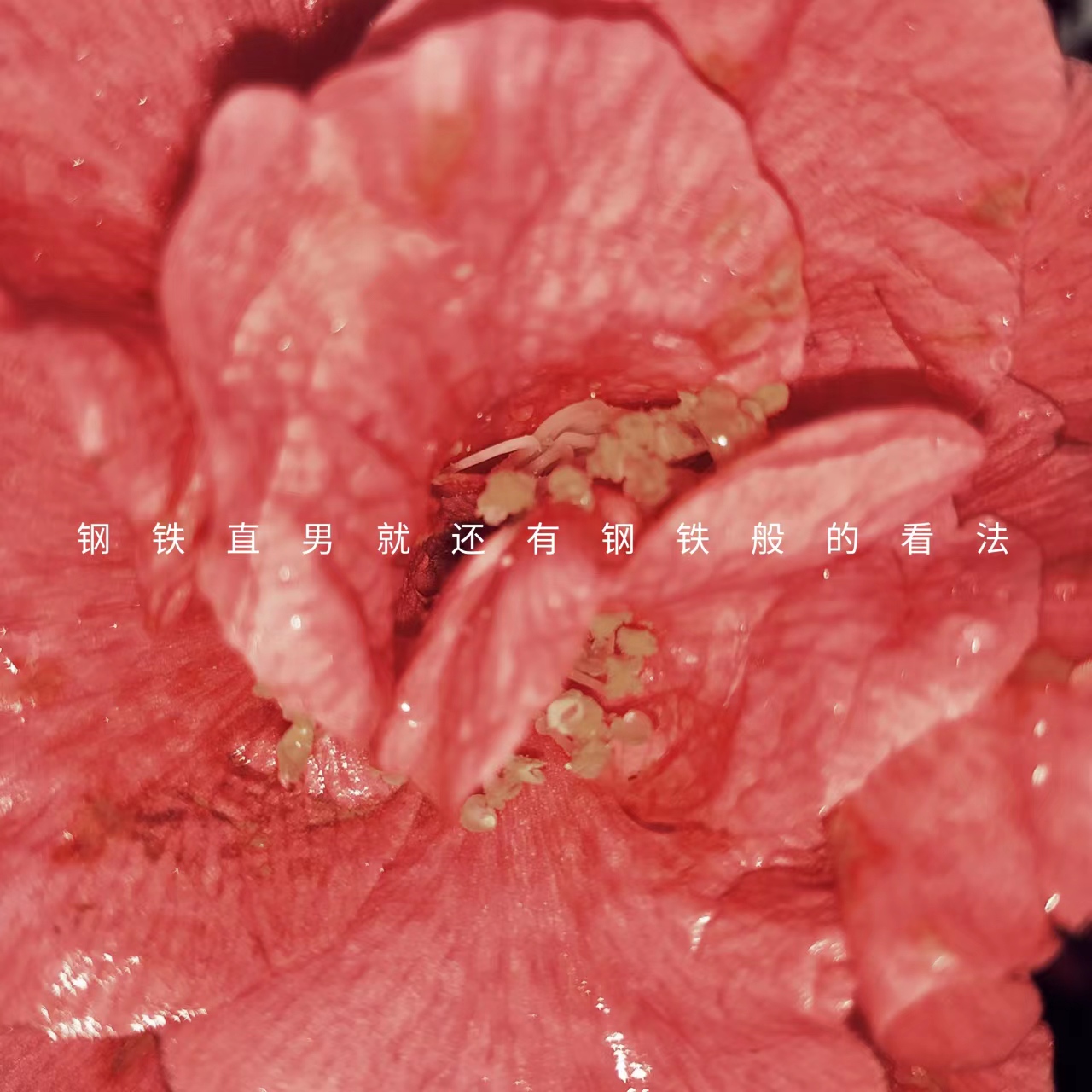 要远离什么样的广告公司和leader？