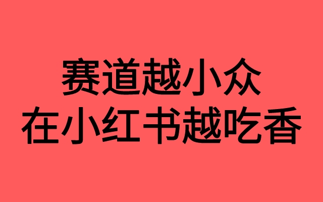 赛道越小众，在小红书越吃香