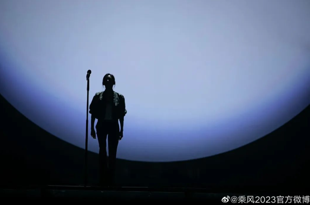 女明星上《浪姐》，求仁得仁