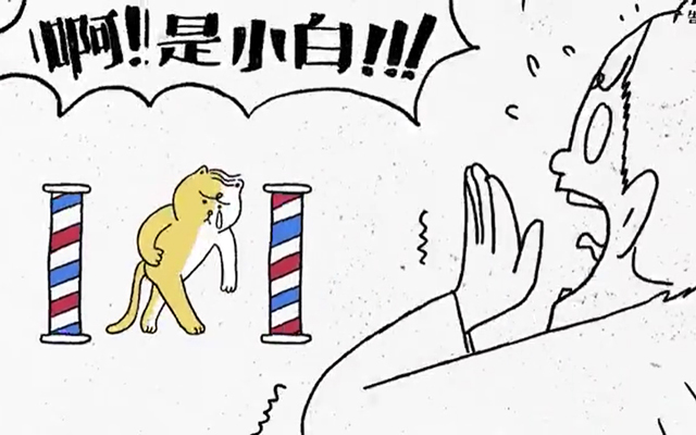 日本宠物品牌动画短片：大开脑洞，将猫咪“变色”