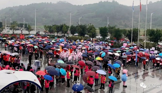 户外活动，突降一场暴雨…策划当场懵了！