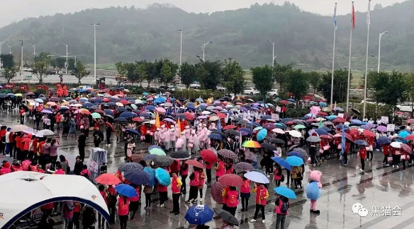 台风、暴雨…活动取消，“应急预案”来了！