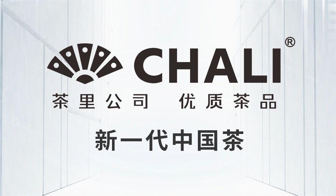 相聚阿那亚 | CHALI成为艾菲终审盛典暨CMO Retreat特别支持伙伴