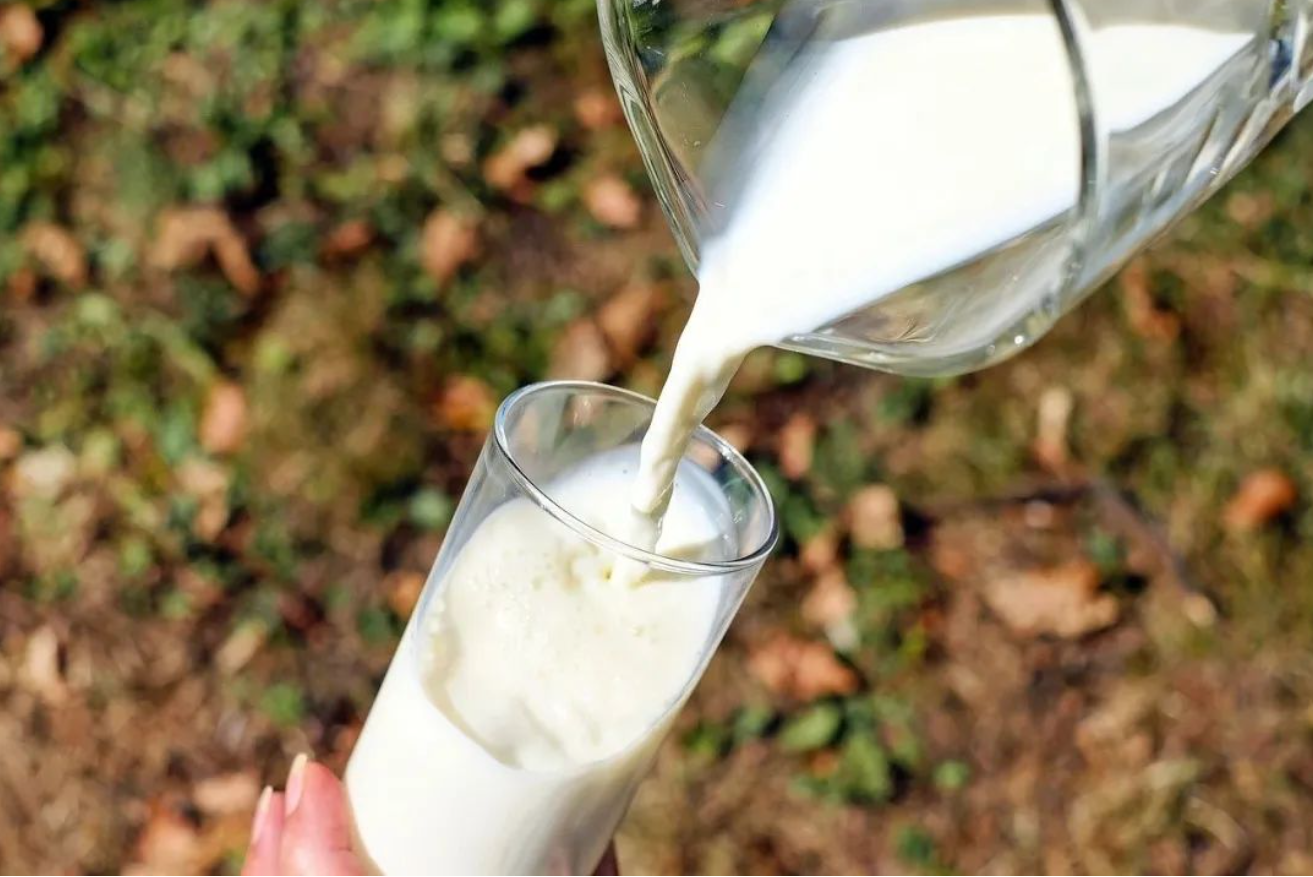 乳業(yè)巨頭們最害怕的對(duì)手來(lái)了