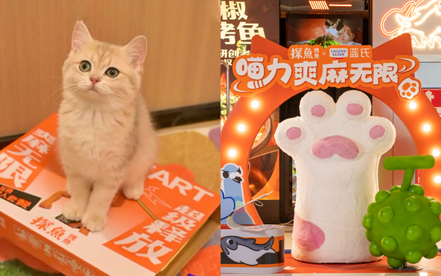 探鱼携蓝氏宠物跨界打造超萌mini猫粮礼盒，俘获“猫主子”们的心