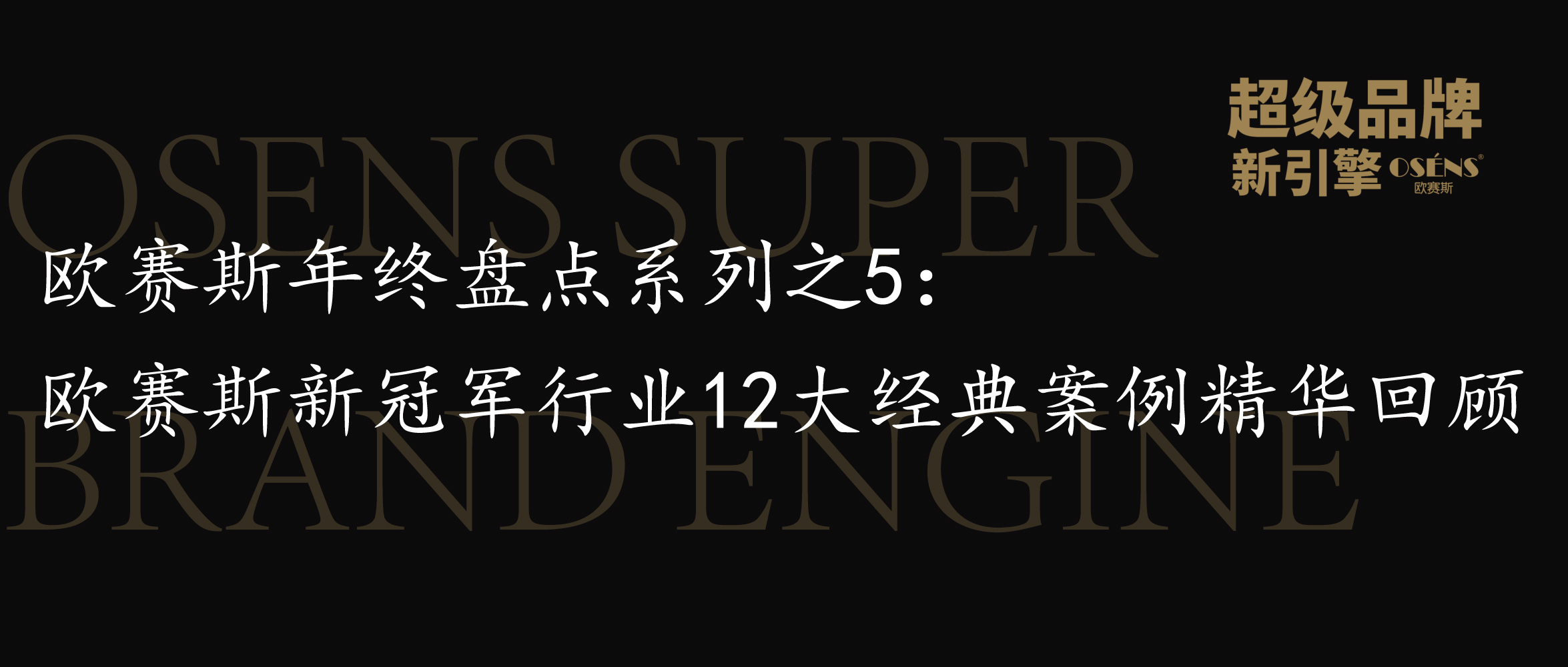 欧赛斯年终盘点系列之5：欧赛斯新冠军行业12大经典案例精华回顾