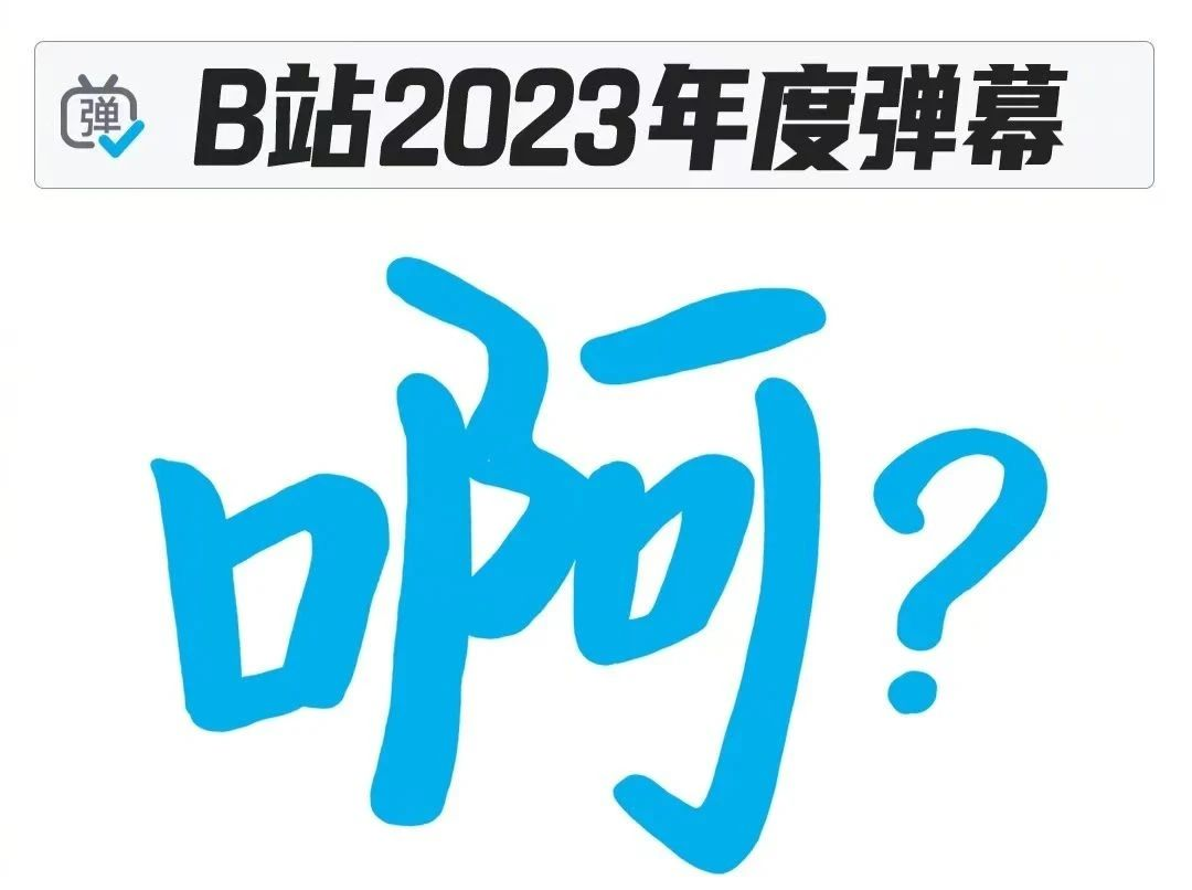 B站2023年度弹幕，只有一个字