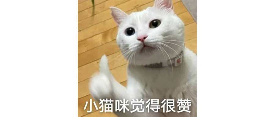 看了《猎冰》，我觉得姚安娜挺好的