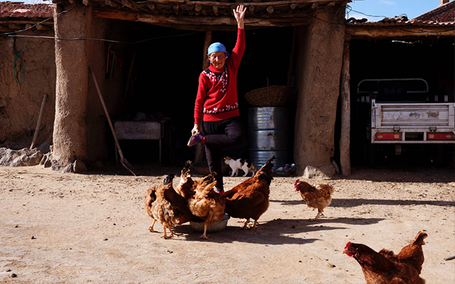 Adidas：有一个地方，她叫玉狗梁