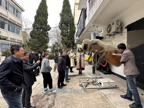 南京旅游集团调研投石科技，考察交流文化科技行业