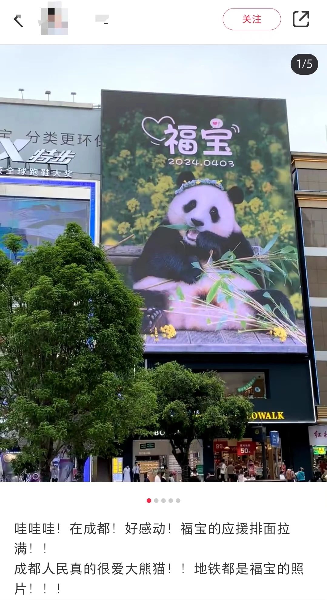 顶流女明星回国排面很足，周大福、徐福记都坐不住了