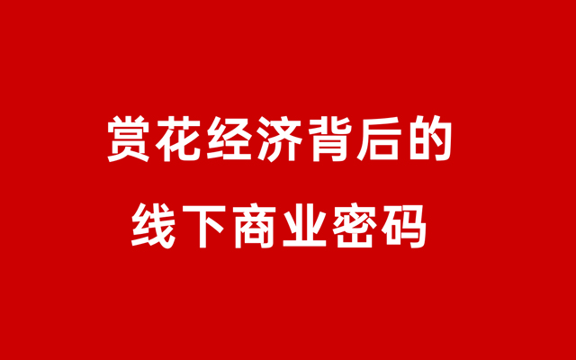 赏花大乱战，品牌如何在春日营销中厮杀而出？