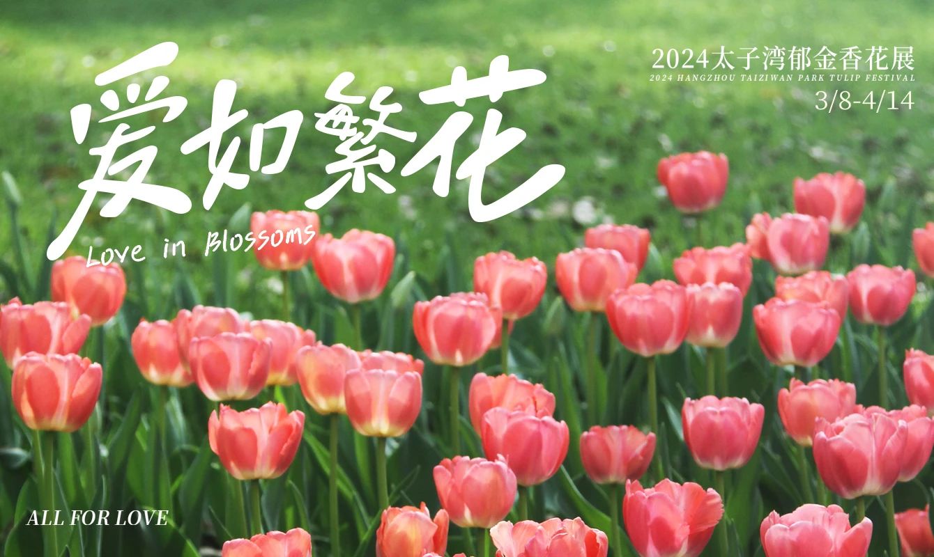 這個春天，杭州玩的真“花”！