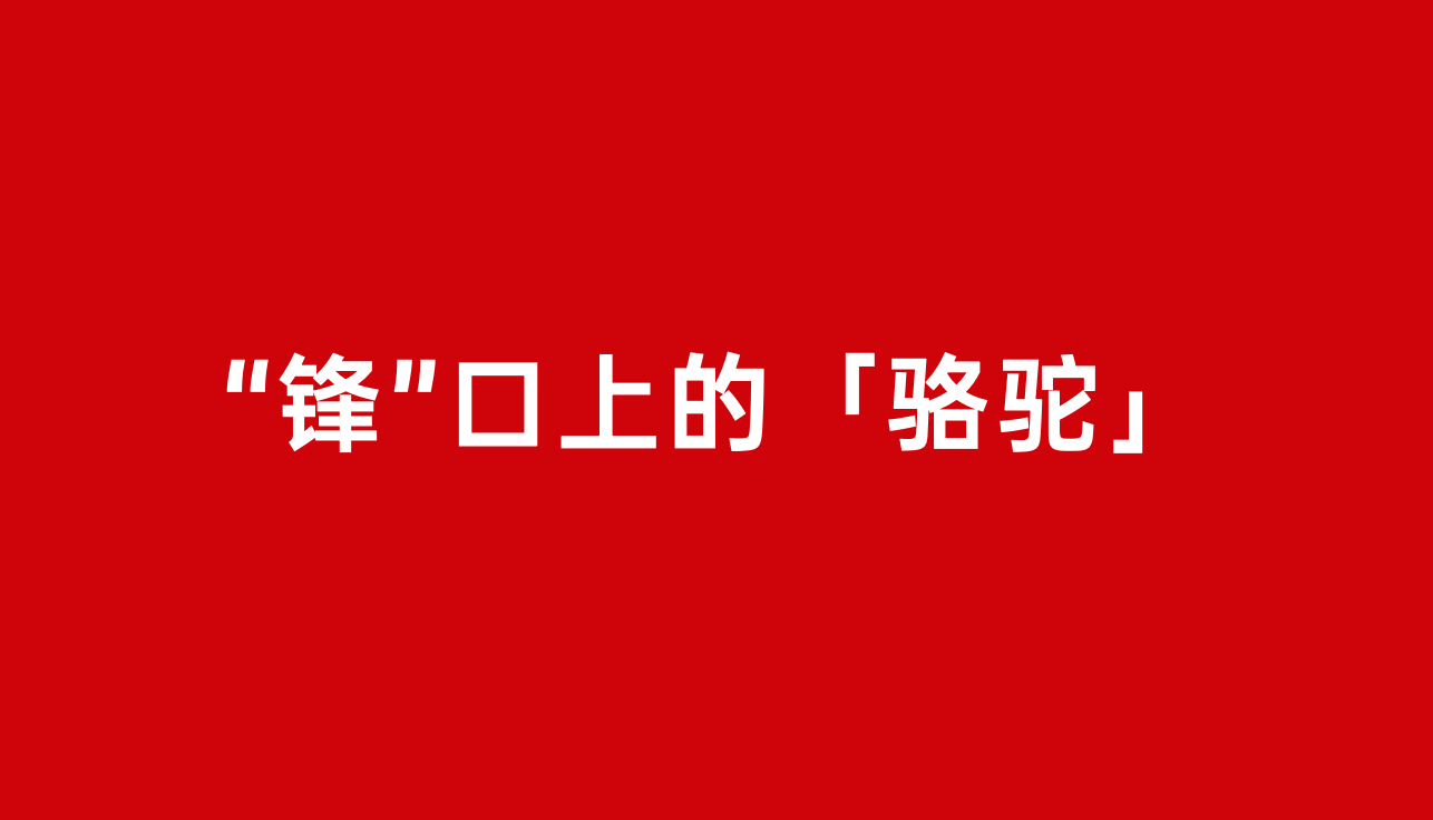 从硬核户外到氛围感穿搭，骆驼改写「冲锋衣」