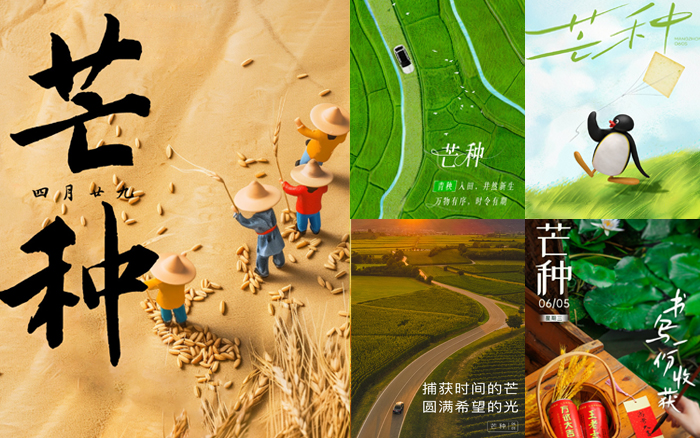 芒种海报合集：梦想和麦芒，正值收获