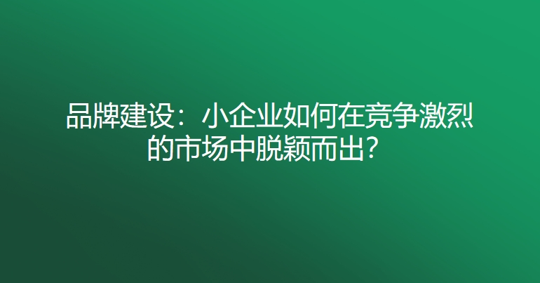 品牌建设：小企业如何在竞争激烈的市场中脱颖而出？