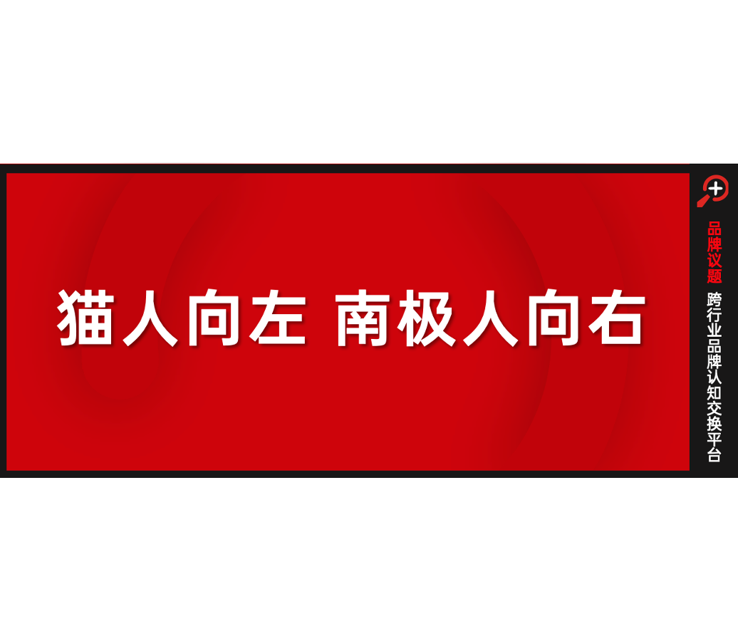 从品类红利到品牌复利，中国内衣品类代名词，花落谁家？