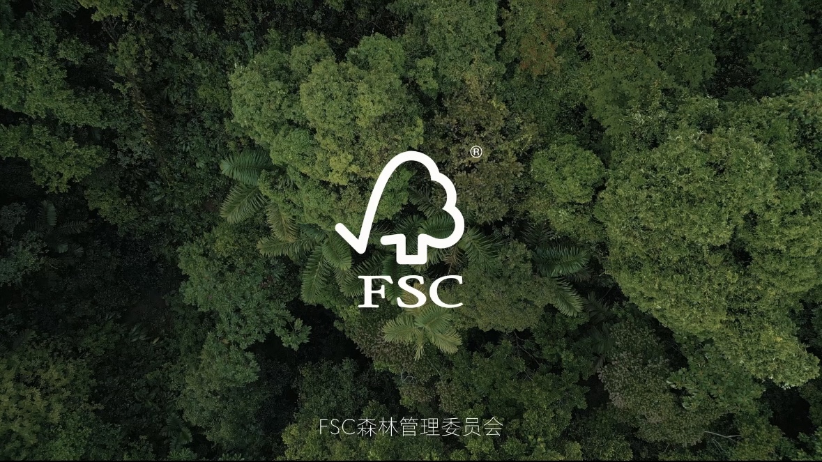 幕后解析｜FSC绿色家具可持续倡议《我们都是地球的公民》