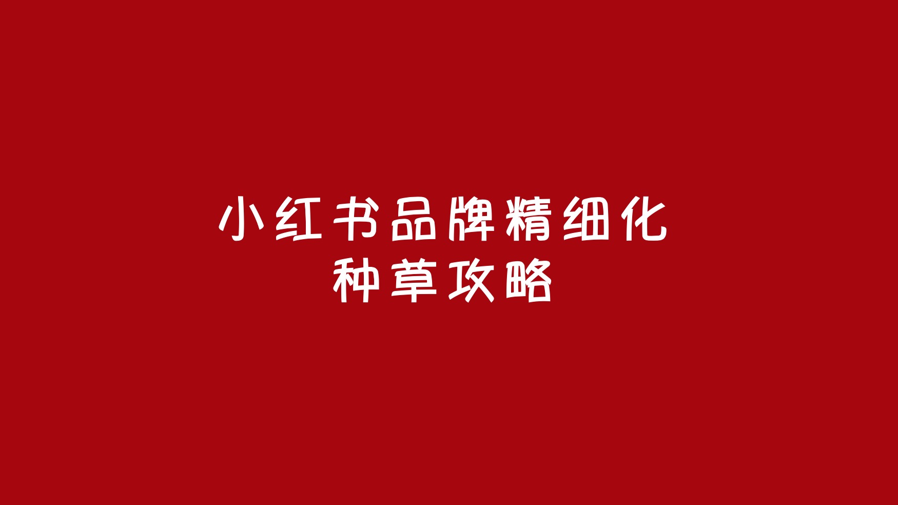 “用户思维”驱动下的小红书品牌精细化种草攻略