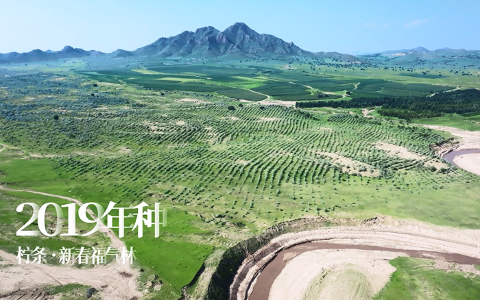 蚂蚁森林八周年：收能量暂停，一起飞阅你种下的蚂蚁森林