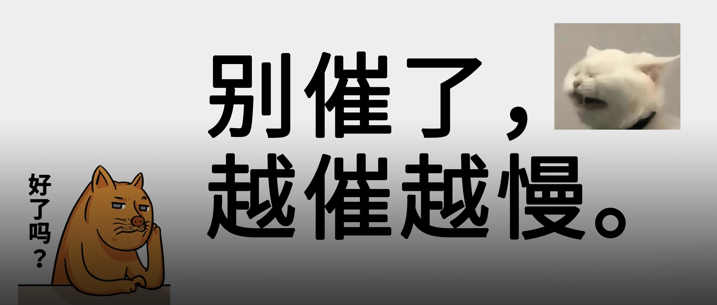 打工人别再说自己是牛马了，牛过得好多了。。