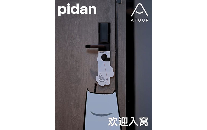 pidan×亚朵酒店：邀请100只小猫入窝度假 