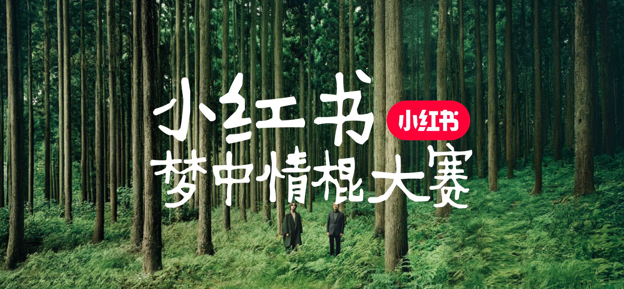 小紅書夢中情棍大賽，將抽象進行到底