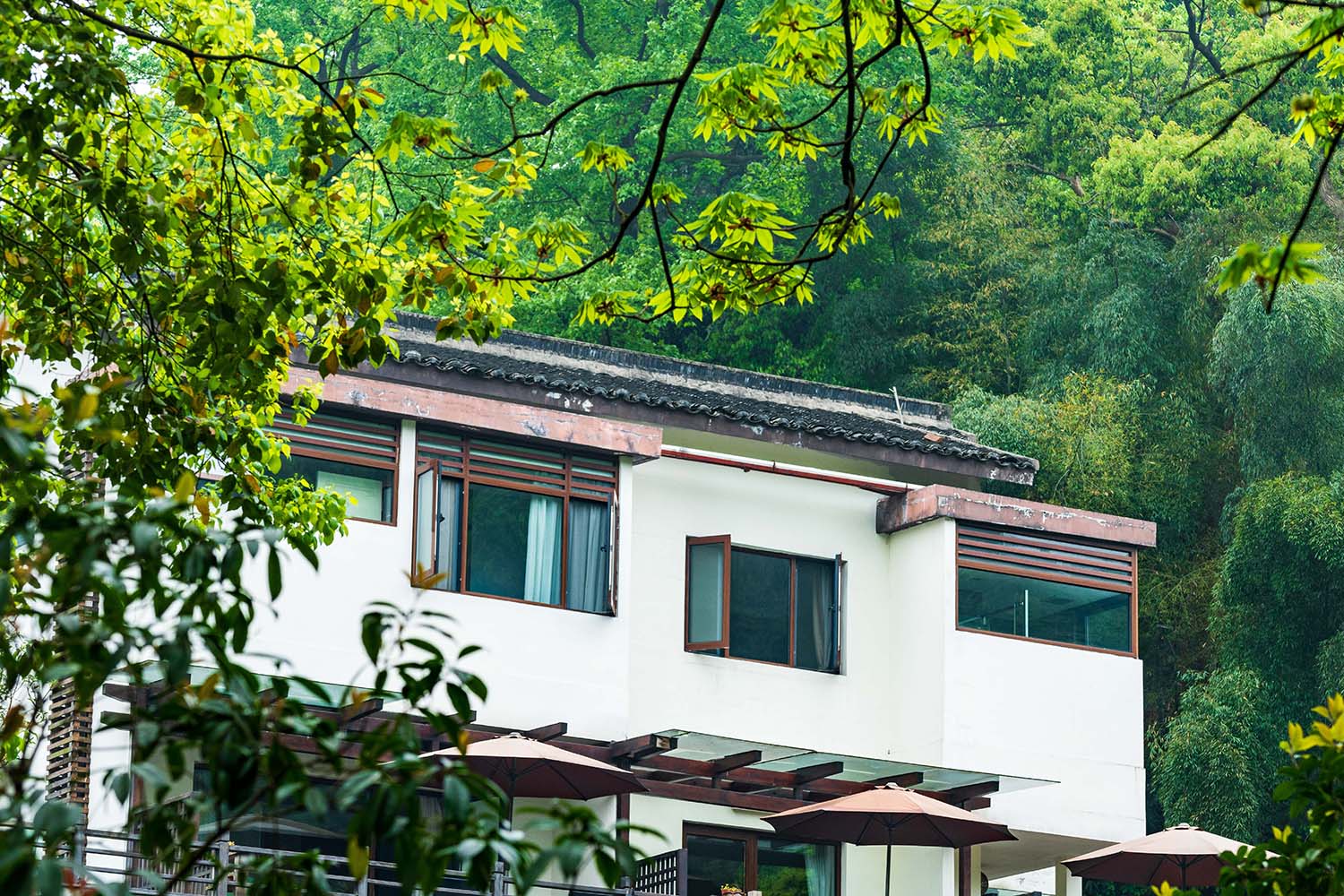 在國內(nèi)，有一種“病態(tài)式”度假民宿