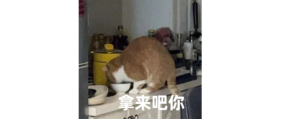 红米平板，电子功德的神