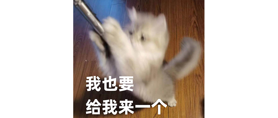 我恨窑鸡王，我爱窑鸡王