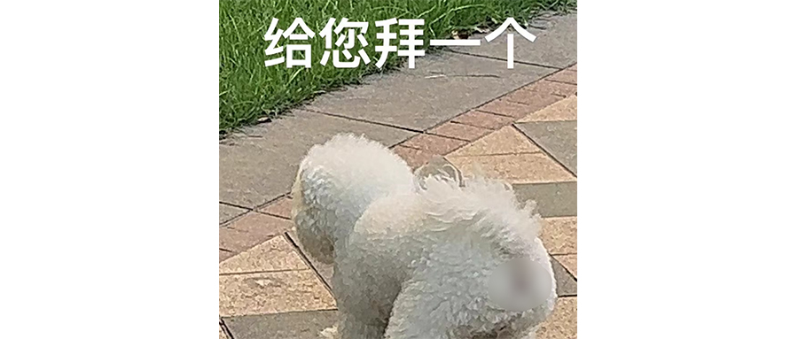 李子柒清醒得可怕