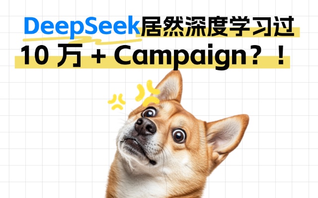 深度學習過 10 萬 + Campaign？！DeepSeek 大起底