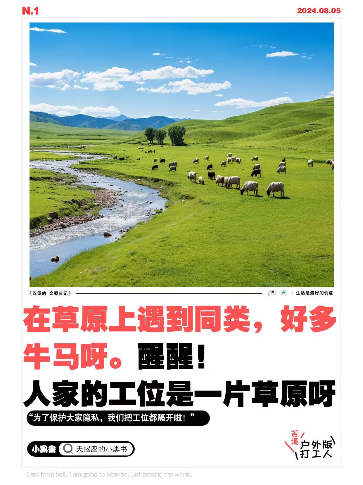 年輕廣告人的囧境：騎不了驢，找不到馬！