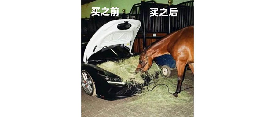 如何同时拥有迈巴赫和自卑？