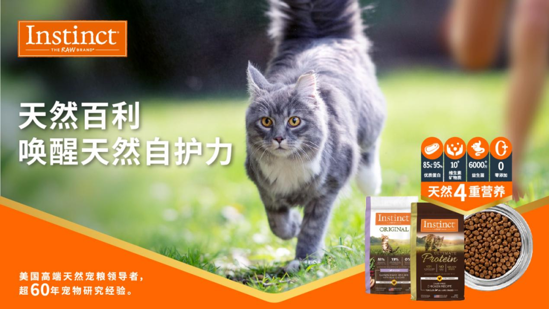 對(duì)話天然百利：塑造“金質(zhì)”養(yǎng)寵生活