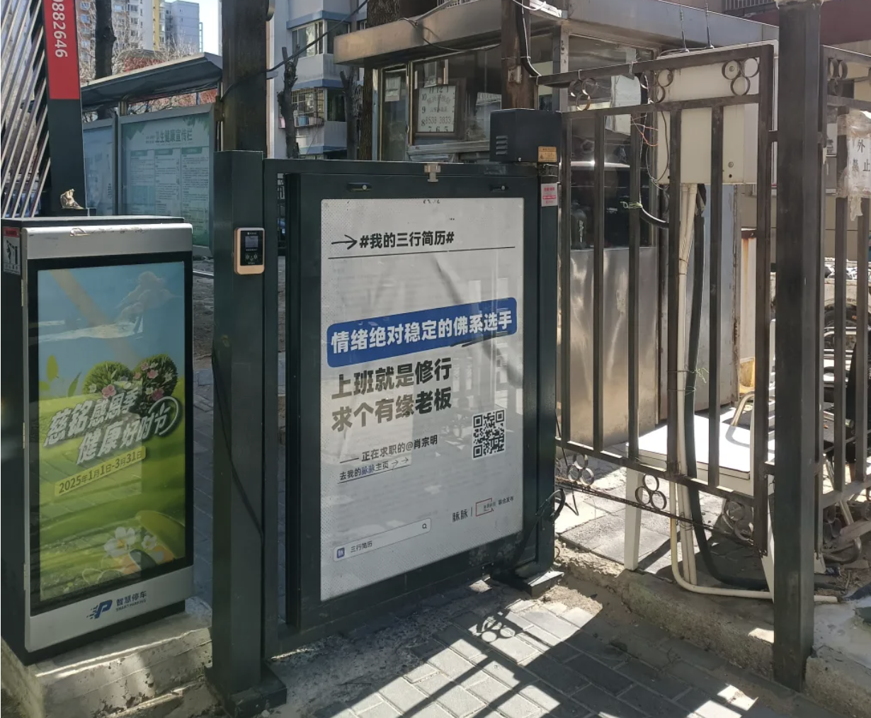 誰懂??！簡歷終于癲成我喜歡的樣子了