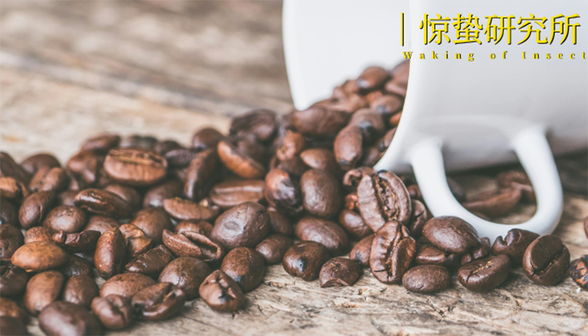 2025，咖啡賽道有點(diǎn)“苦”