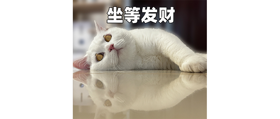 花呗已经彻底颠了