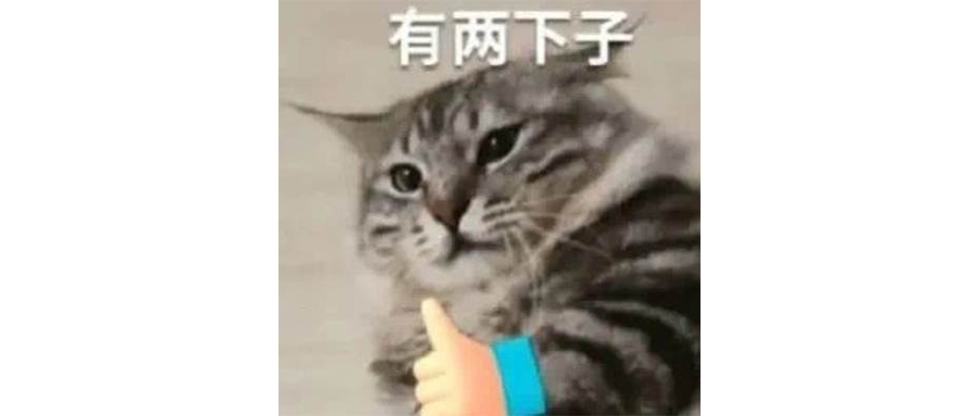 神州租车，动了谁的蛋糕？