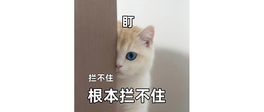 最近全靠盒马的茉莉花茶活着