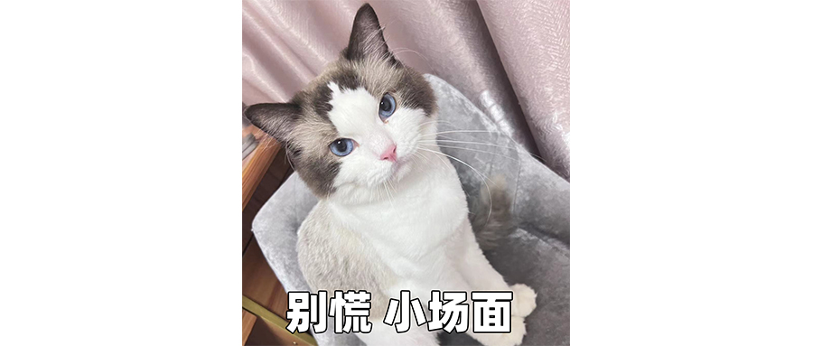 康师傅泡面桶，绿了多少中年人？