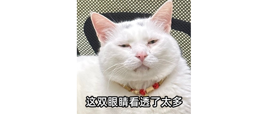 做自媒体最重要的事，买台佳能