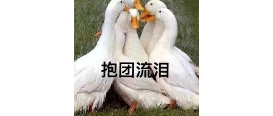 佳明爱死了苹果和始祖鸟