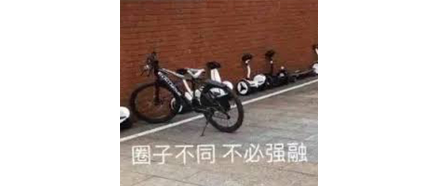 很好奇新版坦克300的精神状态