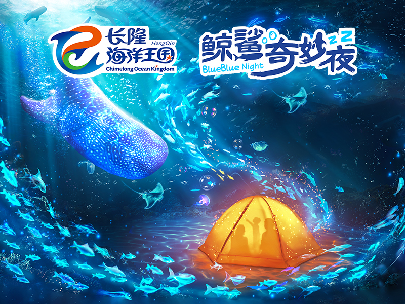 長隆鯨鯊奇妙夜：與鯨鯊共眠，探訪海底原住民