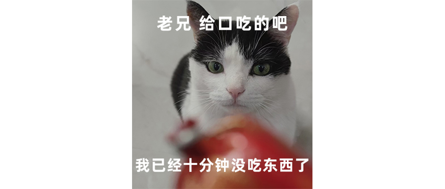 外卖大战支持哪家都有病