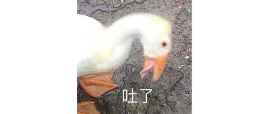 网约车打到轩逸，真是运气好