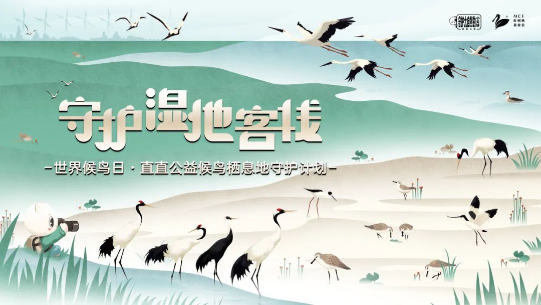 紅樹林基金會（MCF）× 直直公益：一起守護過的自然 我們記得每一刻